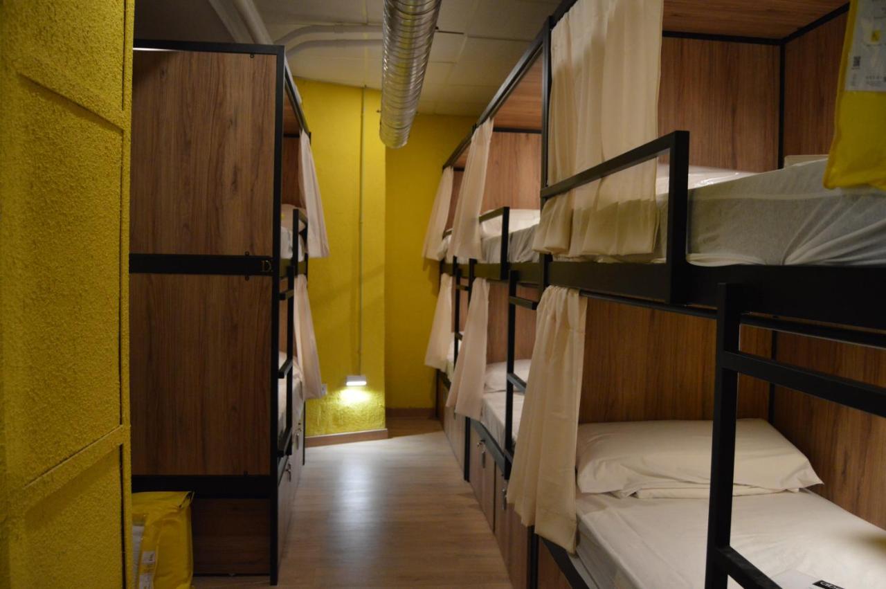 Bunk Bed Mixed Dormitory Room