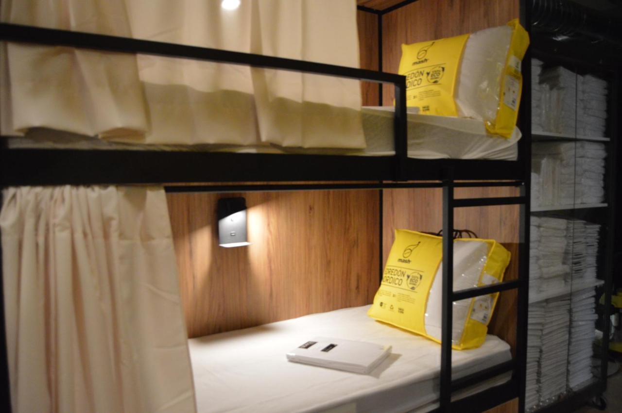 Bunk Bed Mixed Dormitory Room