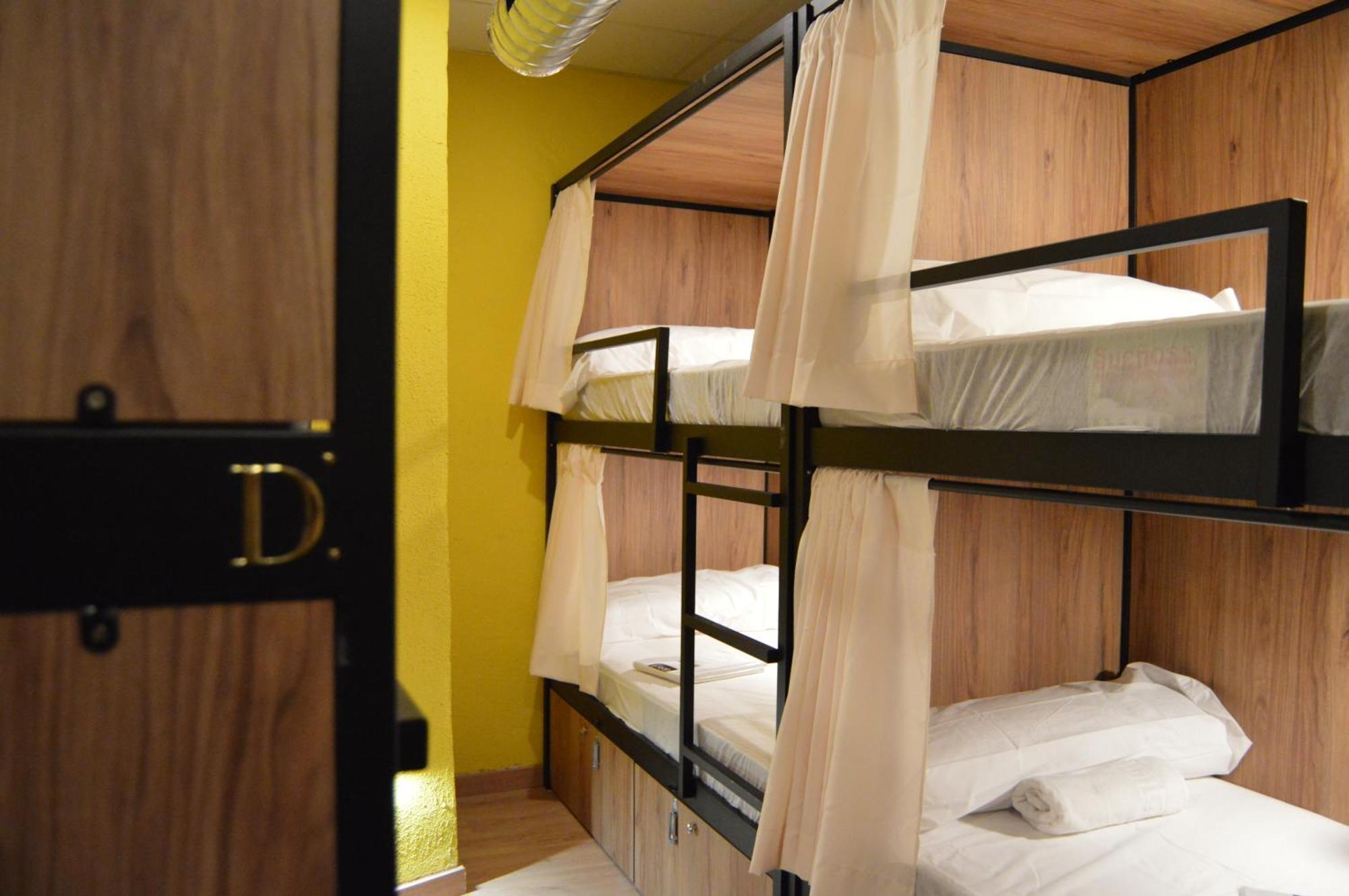 Bunk Bed Mixed Dormitory Room